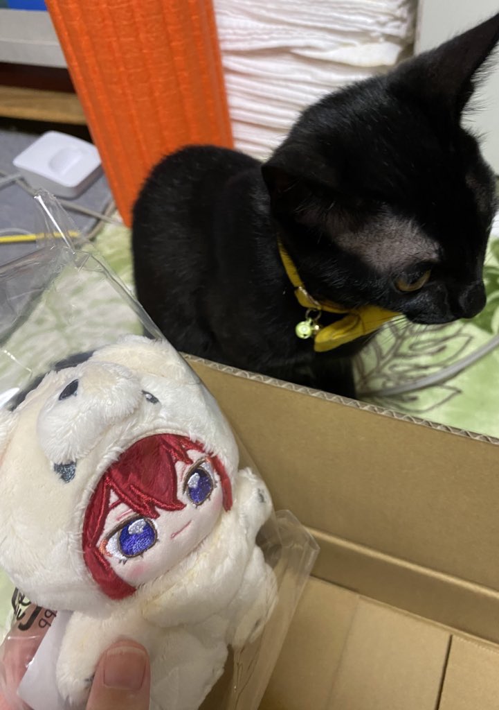 いつぬい来ました！
司ー！
髪の毛ボサボサだ