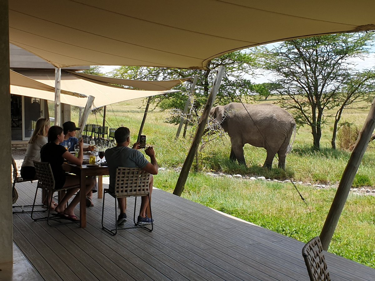 Lunch time visitors #namiriplains #serengeti
