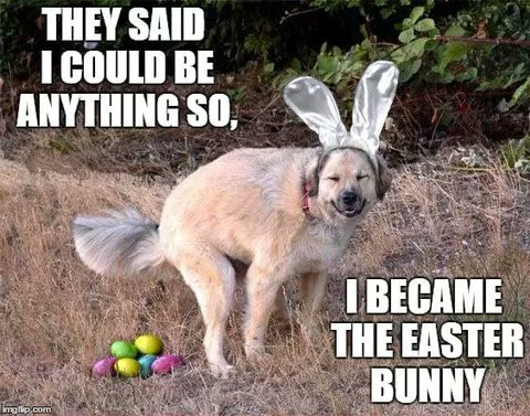 Hop into the Easter Spirit! 🐾🐰
#EasterHumor #BunnyDog #EggHuntCompanion #PawsAndEars #FurBabyEaster #CanineComedy #SpringFunnies #EasterPup #DogsWithBunnyEars #EggstraSpecial #HoppingMad #EasterLaughs #DoggieDressUp #BarkForBunnies #YappyEaster