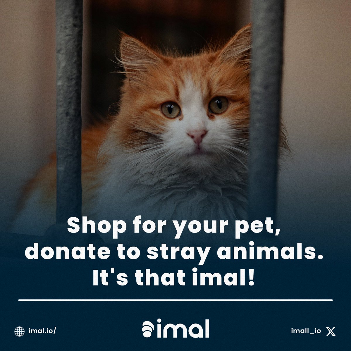 Treat your furry friend and help animals in need! Shop for your pet and donate to strays. “Make difference...” It’s imal 🙌🏻 #imal #makeadifference #compassion