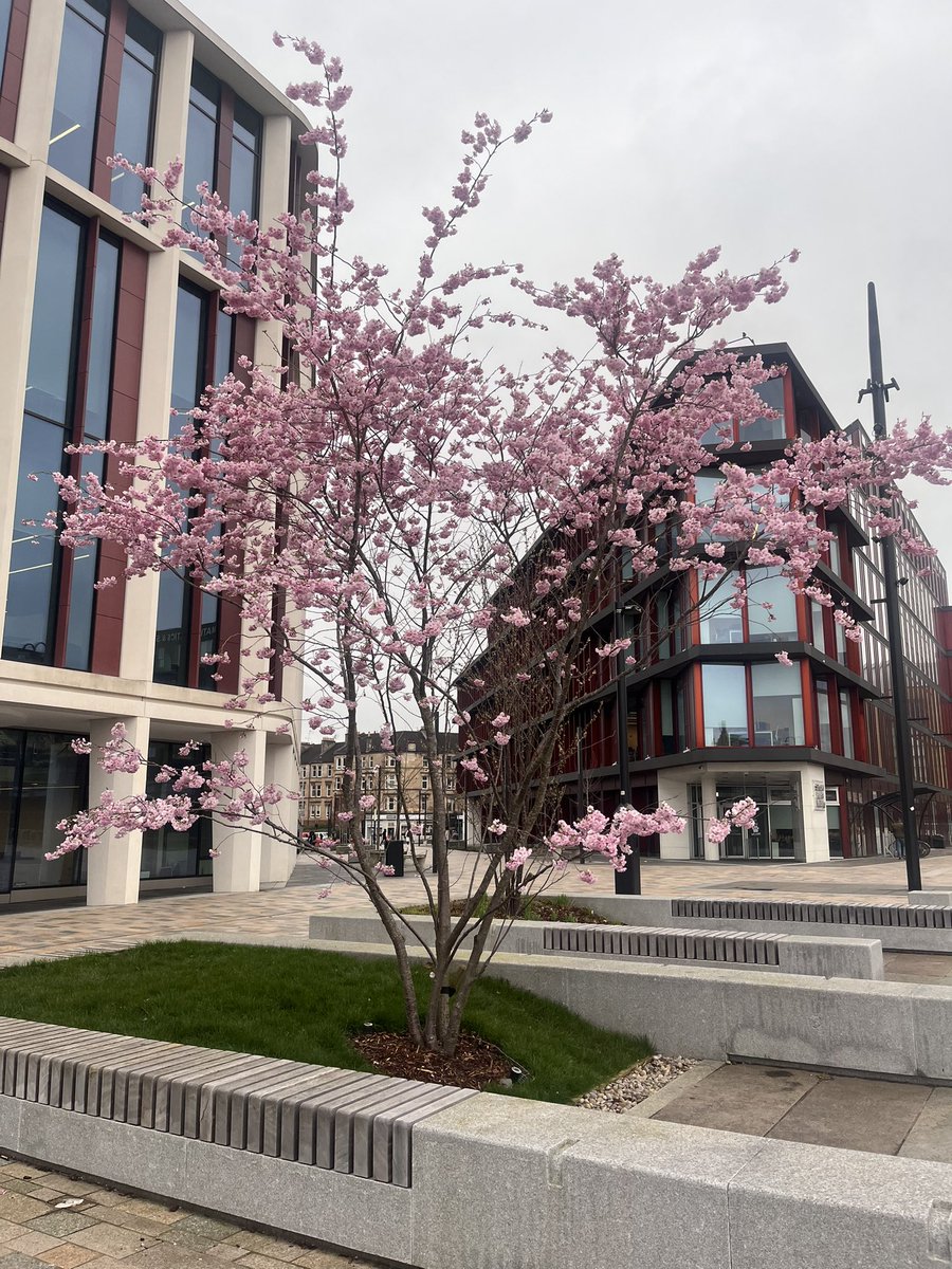 Clarice Pears Build @UofGSHW, Byres Hub & Cafe Omni are closed for the Easter weekend 🐣 The ARC is open for some Spring Fling Activities 🌸 ARC public programme: gla.ac.uk/research/arc/w…