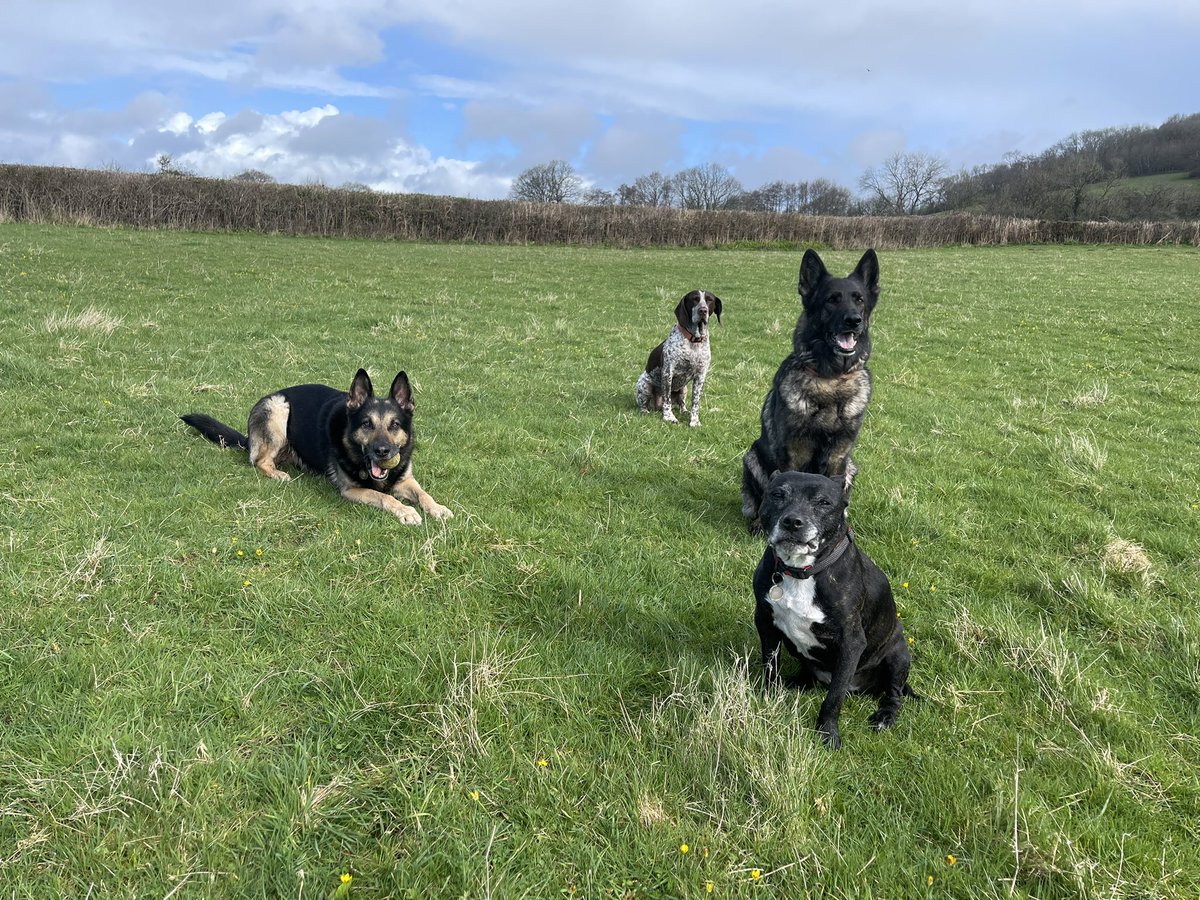 Good to see blue sky this morning after all the rain! I enjoyed my walk with my friends 🐾🐾#FridayMorning #GoodFriday2024