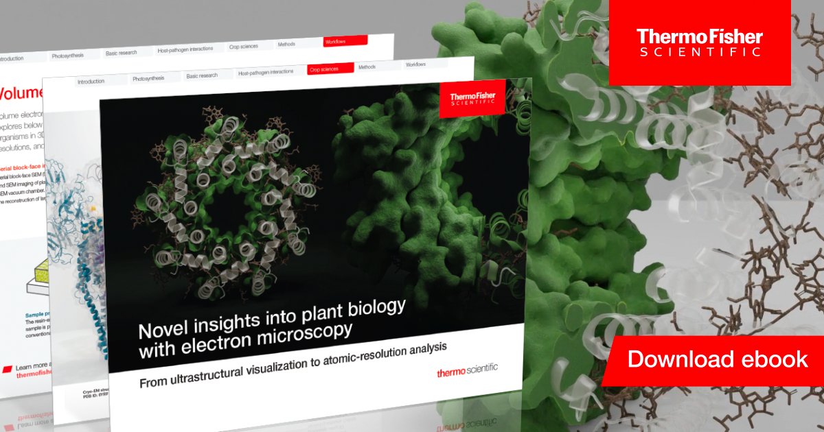 Here is our new eBook about plant research!

Download to learn how single particle #cryoEM, cryo-electron #tomography, and #volumeEM provide valuable insights into plant sciences.  bit.ly/3xhA4cD