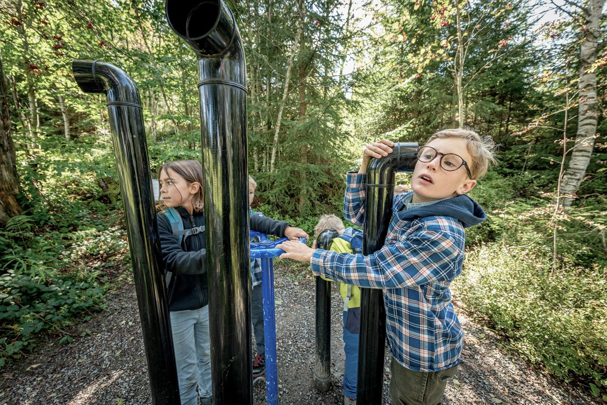 Der  Toggenburger Klangweg begeistert mit seinen Instrumenten und  Installationen.  Nun wird der Weg rundumerneuert. Unterstütze das  Pionierprojekt der Klangwelt Toggenburg! 
wemakeit.com/tw-der-klangwe…

#Crowdfunding #wemakeitPromotion