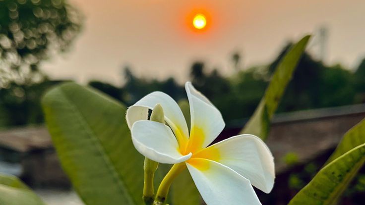 اسلام وعلیکم ورحمتہ اللہ وبرکاتہ ❤️✨
شام بخیر 🌸🤍

Repost for Repost available 💢