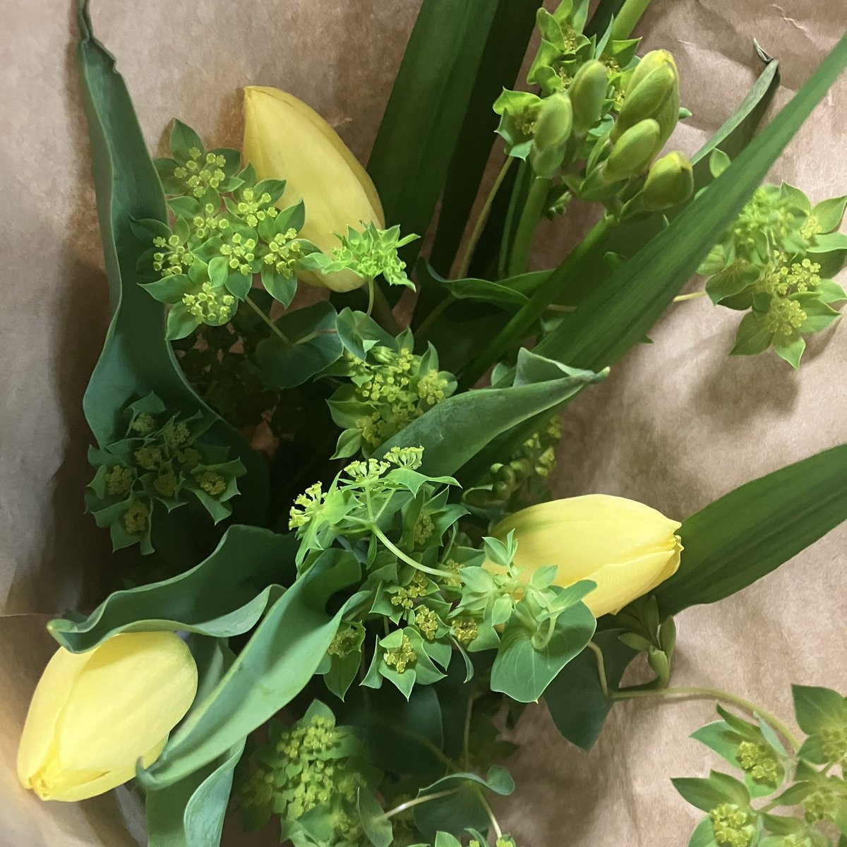 LovieSmile's tweet photo. 自宅用の春のブーケ💛
#tulip
#freesia
#bupleurum https://t.co/I4FePwteL6