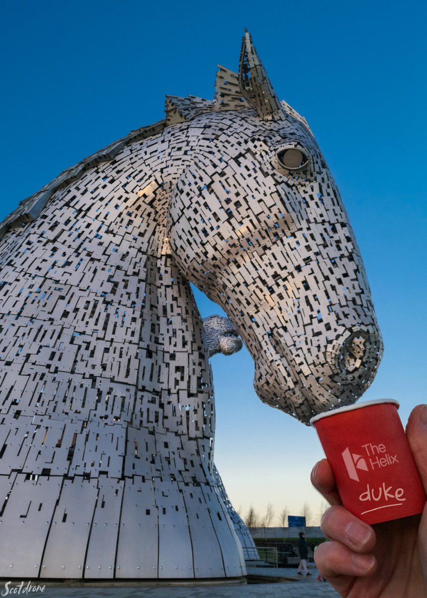 How Kelpie Duke stays alert for all the visitors to the Helix in Falkirk. 😋☕️🐴🐴 #kelpies #thekelpies #falkirk #visitfalkirk #scotland #andyscott #coffee