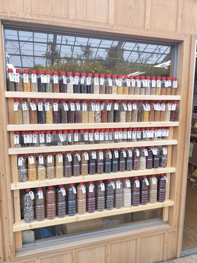 40年以上、約600種類の在来野菜等を栽培・保存してきた研究者の山澤清氏が全てのタネの廃棄を検討している。

「皆が真剣に考えなければいけない」というメッセージらしい。

tradveggie.or.jp/600seeds-yamaz…