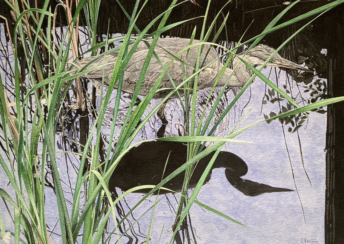 ‘Herengracht’ Canal in Amsterdam and inspiration for another of my <a href="/RIwatercolours/">RI Watercolours</a> 212th exhibition.
View online: mallgalleries.org.uk/exhibitions-ev…

#Heron #Reflections <a href="/mallgalleries/">mallgalleries</a>