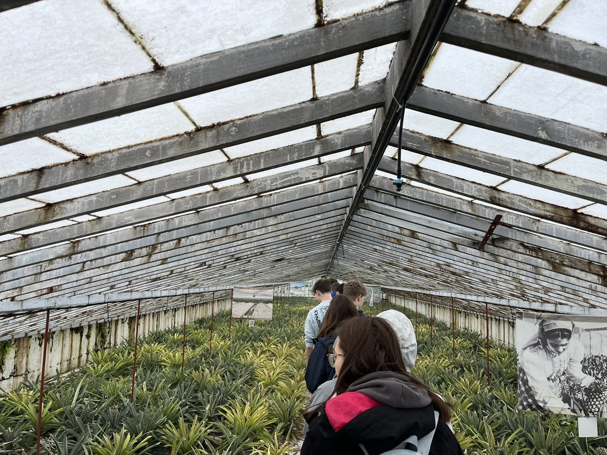 Trinity Geography tweet media