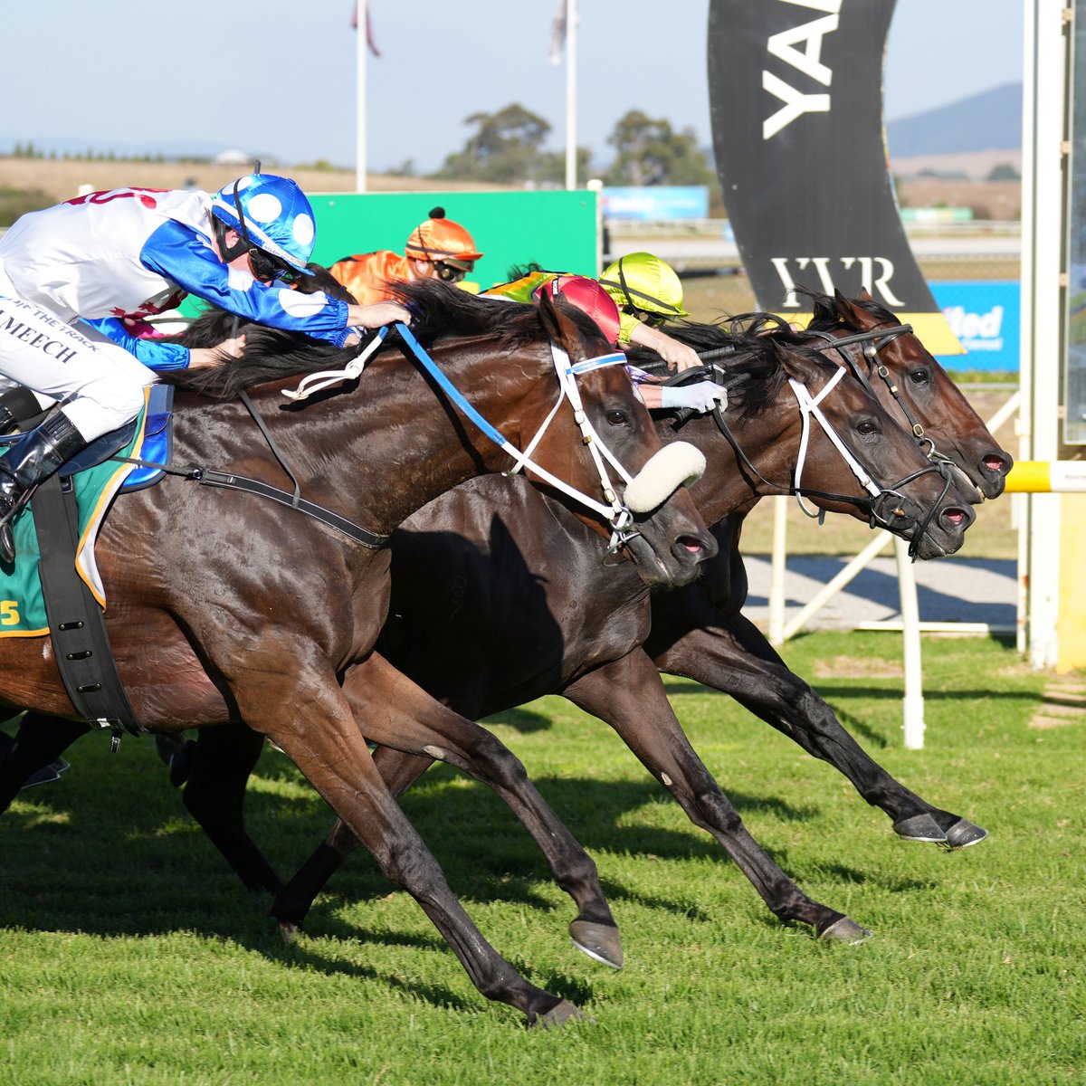 What a day for the Pakenham locals at Yarra Valley Racing! 😍 🏆 OH TOO GOOD wins the Country Trainers Final for Kevin Daffy 🏆 SAVANNAH CLOUD wins The Country Discovery for @pstokesracing Congratulations to the Kevin Daffy racing team, the @pstokesracing team and the