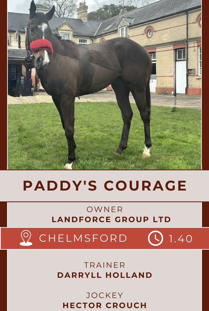 Paddy’s Courage is racing at Chelmsford 1.40pm Wishing best of luck to owner Landforce Group Ltd, trainer #DarryllHolland and jockey Hector Crouch 🍀