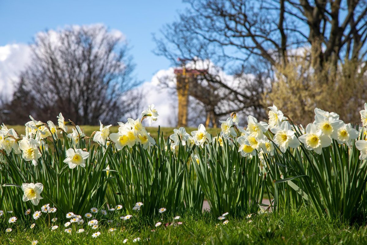 🌸Happy Easter🌸 Wishing you an enjoyable Easter Break from all of us at EastSide Partnership🐣 Our offices at Avalon House will be closed on Monday and Tuesday.