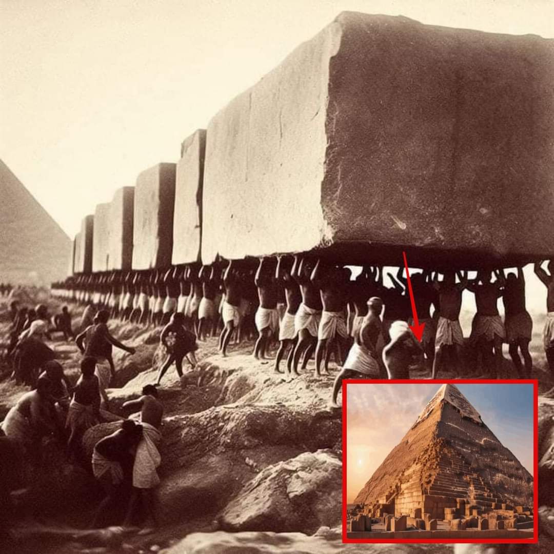 Uncovering the Enigma: Advanced Ancient Human Technology Behind the Pyramids (Details in comments👇)
#AlienEncounters #AncientMysteries