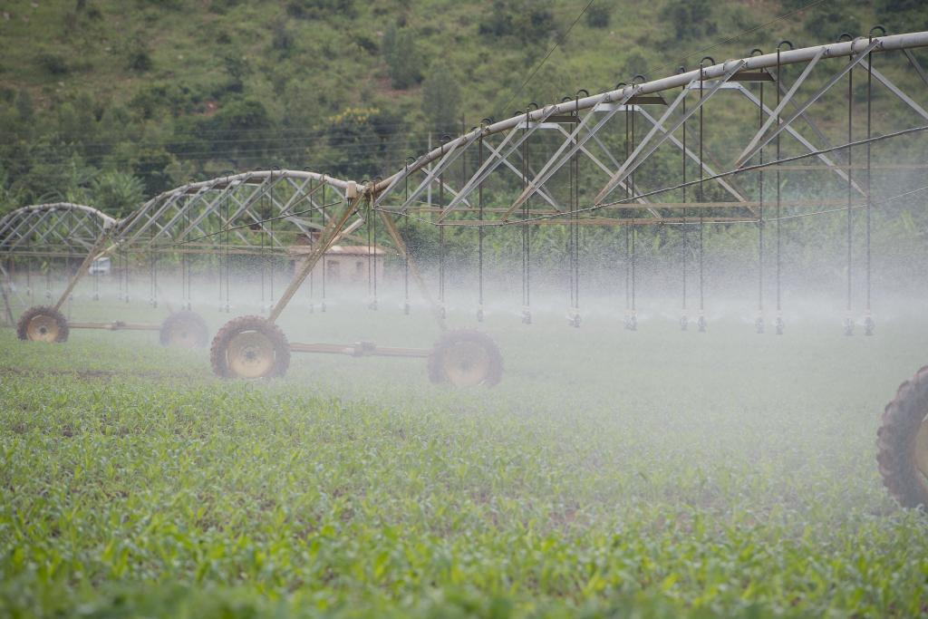 VisitKirehe's tweet photo. #Farming is the act of cultivating land to produce food and other goods. This can involve a wide range of activities, from ploughing and sowing seeds to raising livestock and harvesting crops. | @Lee_Fabricee
#FarmingForBetterLife
#LearnAgriculture
#VisitKirehe
@NzirabatinyaMo4 https://t.co/tqAyuZ6ItA