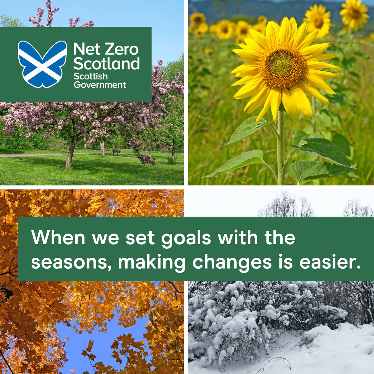 There are many ways that we can add to our lives while also helping to protect the planet, why not let Mother Nature set the tone for when to make these changes? For more information on changes you can make for you and the planet, visit: netzeronation.scot/take-action #LetsDoNetZero