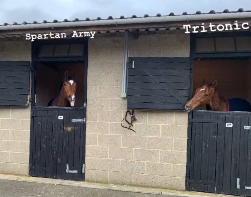 Big weekend ahead!! Spartan Army kicks off our north pursuit @NewcastleRaces 💪💪💪