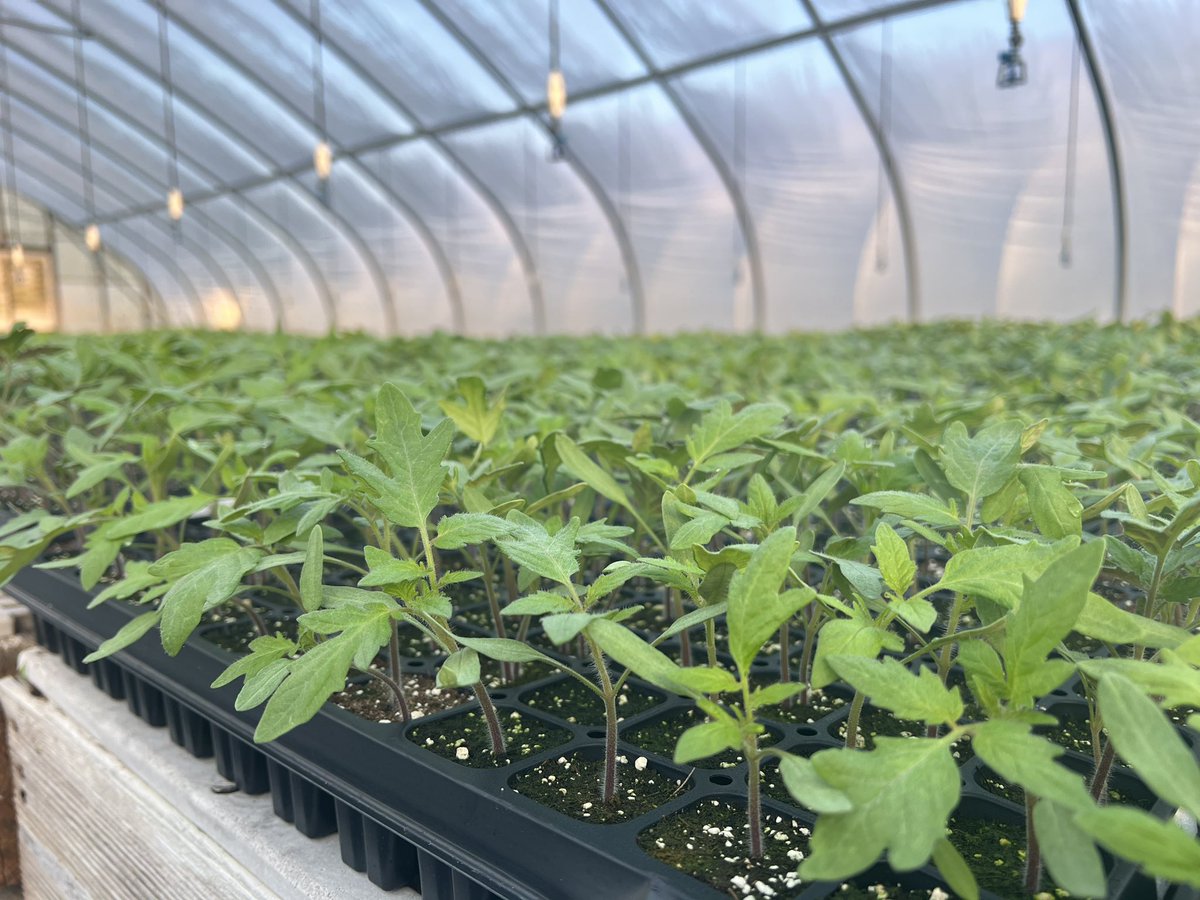 TRACTO 🚜 tweet media