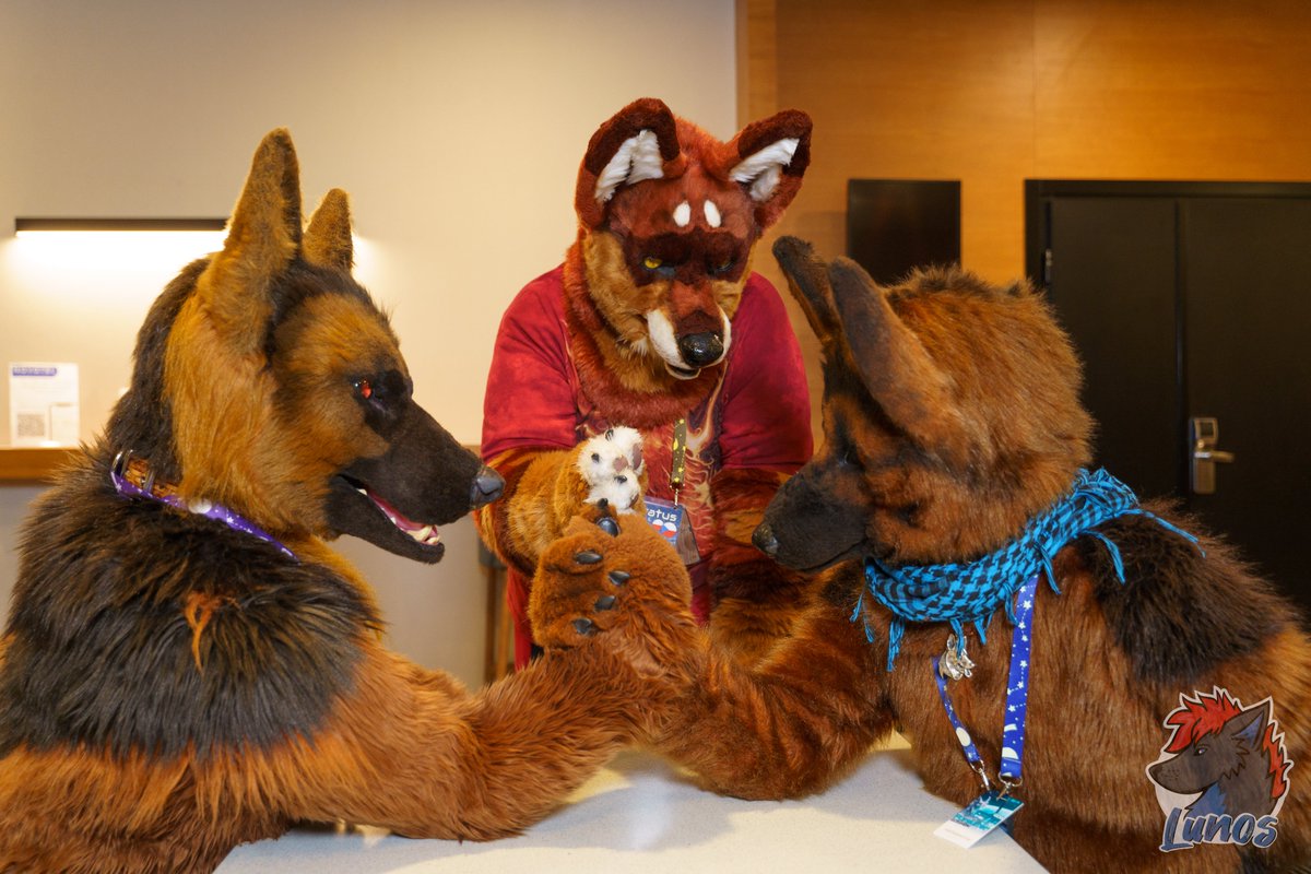 Just two sheps compete in armwrestling this #FursuitFriday. 💪
📷<a href="/LunosWolf/">Lunos</a>
📍<a href="/GdakonPL/">Gdakon</a> 2024 #Gdakon2024
🐕‍🦺@Berrexter (left), Me, and my 💖@Futratus as a referee.

#furry #furries #fursuit #fursuits #fursuiter #fursuiters #furryfandom #fursuitphotography