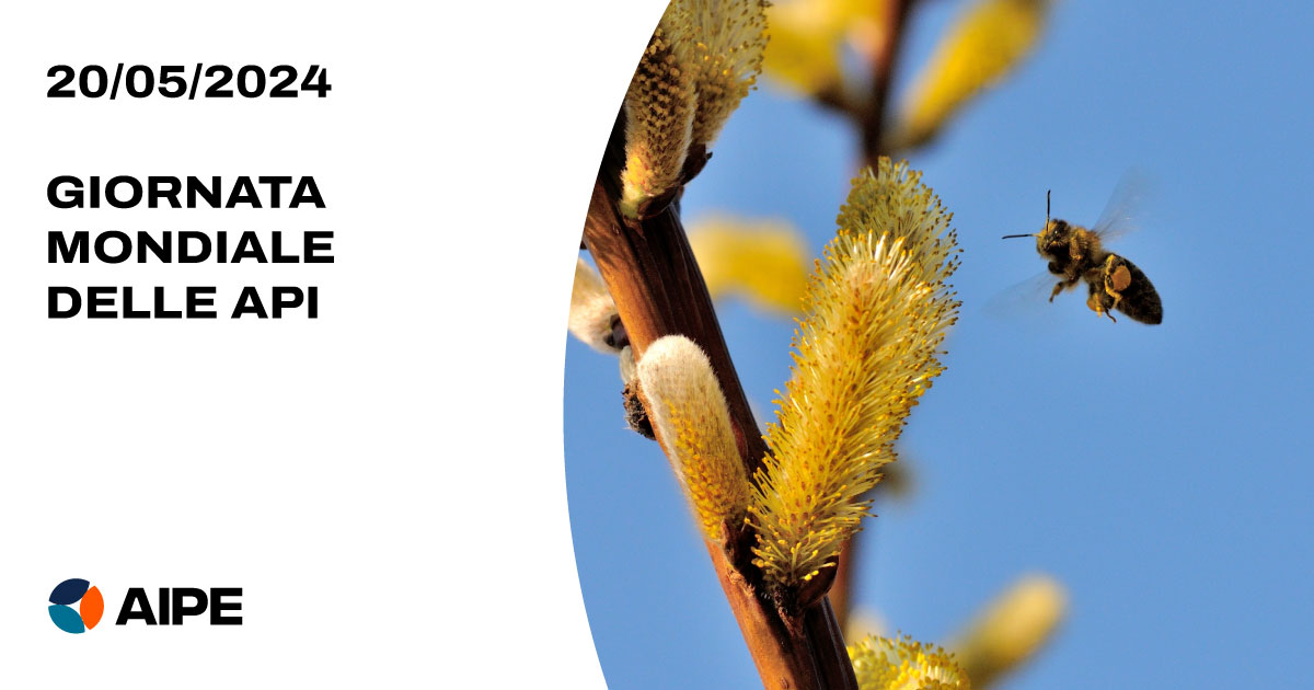 Nel giorno mondiale delle api ricordiamo che l'EPS viene impiegato per la costruzione delle arnie per l'allevamento delle api. Grazie alle sue virtù isolanti, le arnie in EPS assicurano il benessere delle api in qualsiasi condizione climatica e stagione. tinyurl.com/54ntn8er