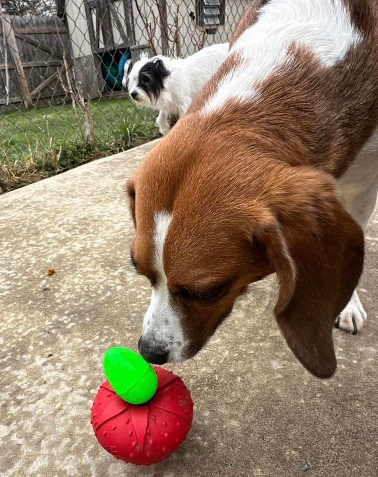 Easter egg hunt to easy!