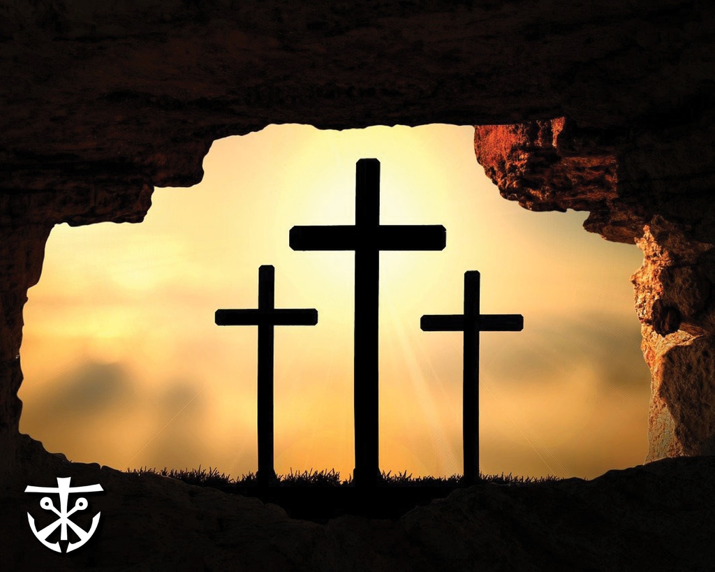 “For this I was born, and for this I came into the world …” - John 18:37 #holycrossus #congregationofholycross