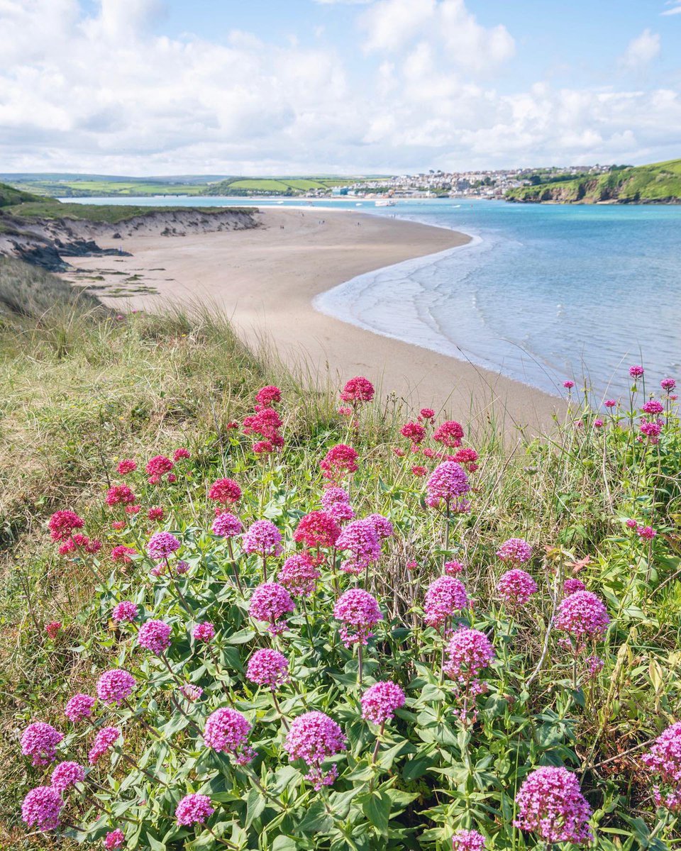 The stunningly beautiful Camel Estuary in Cornwall @StormHour @ThePhotoHour @beauty_cornwall #camelestuary #padstow #rock #cornwall instagram.com/p/C5GOJWgrLZV/