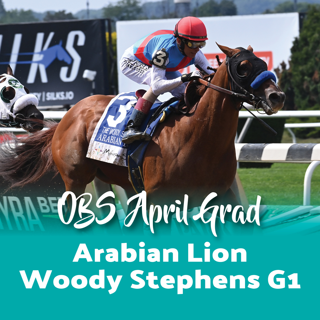 Arabian Lion (Justify) was a 2022 OBS Spring grad purchased for $600k by Zedan Racing Stables. He has earnings of almost $500k and won last year's G1 Wood Stephens Stakes Presented by Mohegan Sun. Get your next champion at OBS Spring on April 16-19. #obssales #twoyearoldsource