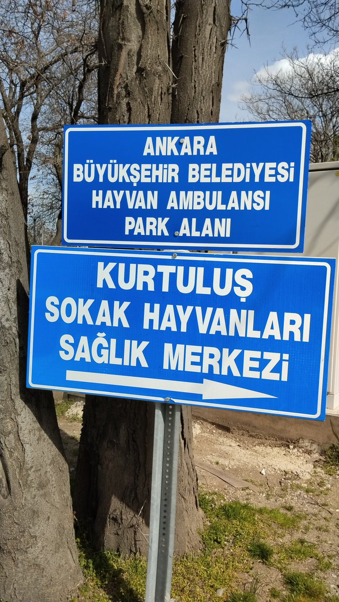 #HayvanHaklarıAnayasaya 
#kısırlaştırmaseferberliği 
Canım Ankara 😻🐶
#SokakHayvanlarıSahipsizDeğil