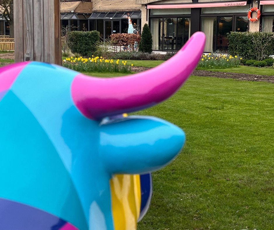 Oxley hit the road recently – can you guess where he went in preparation for tomorrow? 👀