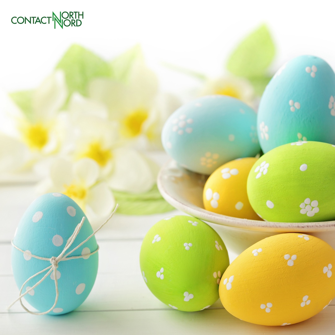 Happy Easter from all of us at Contact North! May your weekend be filled with joy, peace, and plenty of chocolate eggs. 🌷🥚 #HappyEaster #EasterJoy