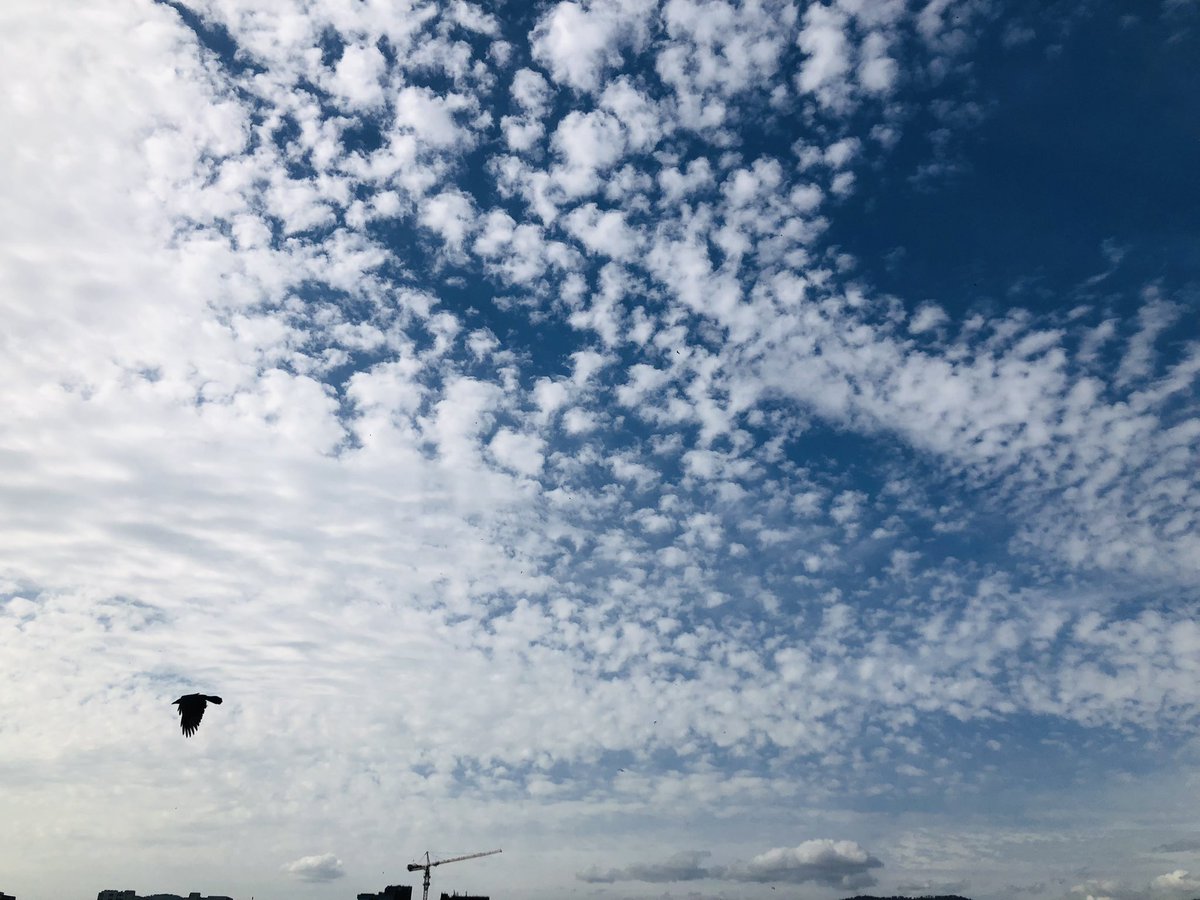 GOOD EVENING SAB KO ❤️
C2c my X family 

میں رات کے اس پہر تھکی تھکی ہوئے آنکھوں کے ساتھ یہ سوچتے ہوئے کہ ایک خلا جو میں کبھی نہیں بھر سکتا وہ یہ کہ جو باتیں آپ سے کرنے کی تھی وہ اب ہم چاند اور ستاروں سے کرتے ہیں۔