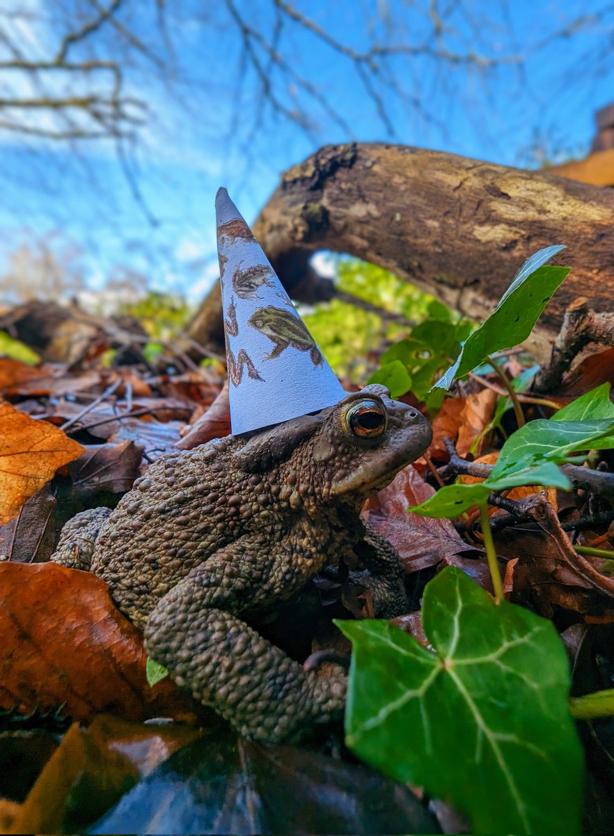 Eight years ago I raised you from a tadpole. Happy birthday Eloise 🥳