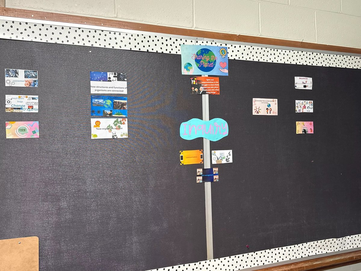 Bliss Frey tweet media