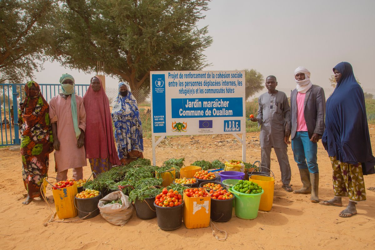 Resilience building activities are core to the #HumanitarianDevelopmentPeace nexus. In🇳🇪, @WFP is part of the solution, investing in natural resources & ecosystems while working with partners to reinforce resilience & social cohesion within communities.