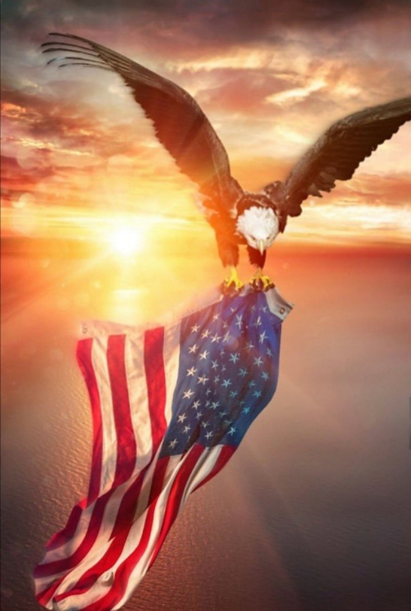 Judicial Corruption is Everywhere (@gop_is_gutless) on Twitter photo ๐ฅGOOD MORNING TO EVERYONE !!!โก๏ธ ๐ค๐ป๐ฅ๐ค๐ป๐ฏ
๐ฅTO GAIN NEW FOLLOWERSโก๏ธFOLLOW ME
@GOP_IS_GUTLESS ๐บ๐ธ ๐ฅ ๐
AND RETWEET! ๐บ๐ธ
๐ฅI FOLLOW BACK!!!! ๐ฏ CHECK IT OUT!! ๐บ๐ธ
๐ฅ๐TURN ON NOTIFICATIONS ๐บ๐ธ
๐ฅDROP AN EMOJI & FOLLOW EVERYONE WHO LIKES IT!!! ๐บ๐ธ
๐ฅREPLY WITH IFB & RETWEET TO ๐ฅGOOD MORNING TO EVERYONE !!!โก๏ธ ๐ค๐ป๐ฅ๐ค๐ป๐ฏ
๐ฅTO GAIN NEW FOLLOWERSโก๏ธFOLLOW ME
@GOP_IS_GUTLESS ๐บ๐ธ ๐ฅ ๐
AND RETWEET! ๐บ๐ธ
๐ฅI FOLLOW BACK!!!! ๐ฏ CHECK IT OUT!! ๐บ๐ธ
๐ฅ๐TURN ON NOTIFICATIONS ๐บ๐ธ
๐ฅDROP AN EMOJI & FOLLOW EVERYONE WHO LIKES IT!!! ๐บ๐ธ
๐ฅREPLY WITH IFB & RETWEET TO