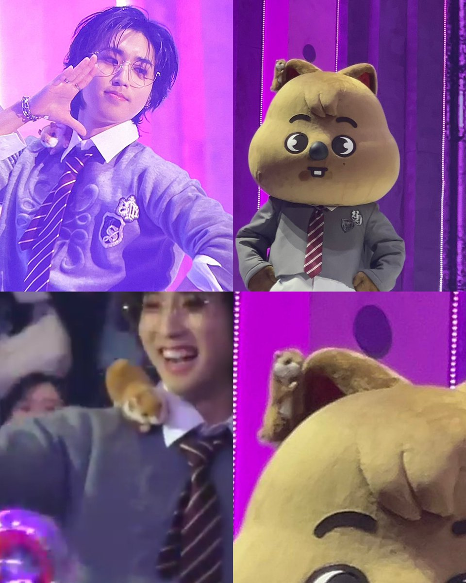 Han jisung                   Han quokka