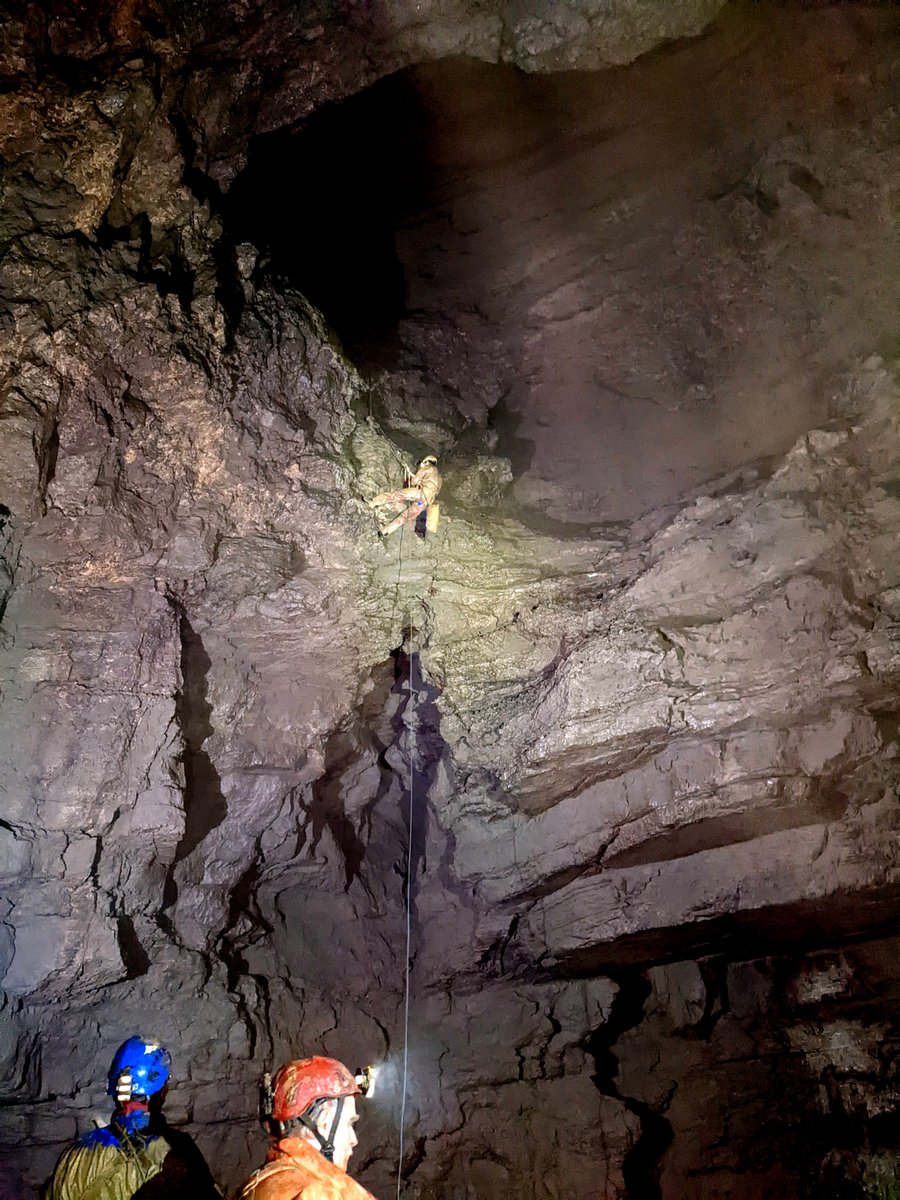 VisitFVG's tweet photo. ❗ Dopo 23 anni, la Società Adriatica di Speleologia ha scoperto un nuovo tratto sotterraneo del fiume #Timavo nella grotta Luftloch, entrata subito a far parte delle pochissime grotte del carso che superano i 300m di profondità!🕵️♂️ 📷 E. Carpani
#visitfvg #iosonofvg https://t.co/sbqckL1sfQ