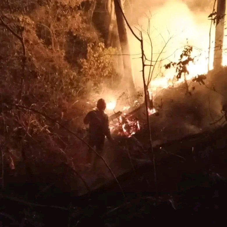 GruaPlataforma's tweet photo. Incendio en Maracay Parque nacional Henry Pittier
Desde febrero a marzo se observa en las imágenes satelitales de Copernicus el avance del fuego.
A la fecha se calcula un area afectada de mas de 50 km2. https://t.co/ca7wVadIm7