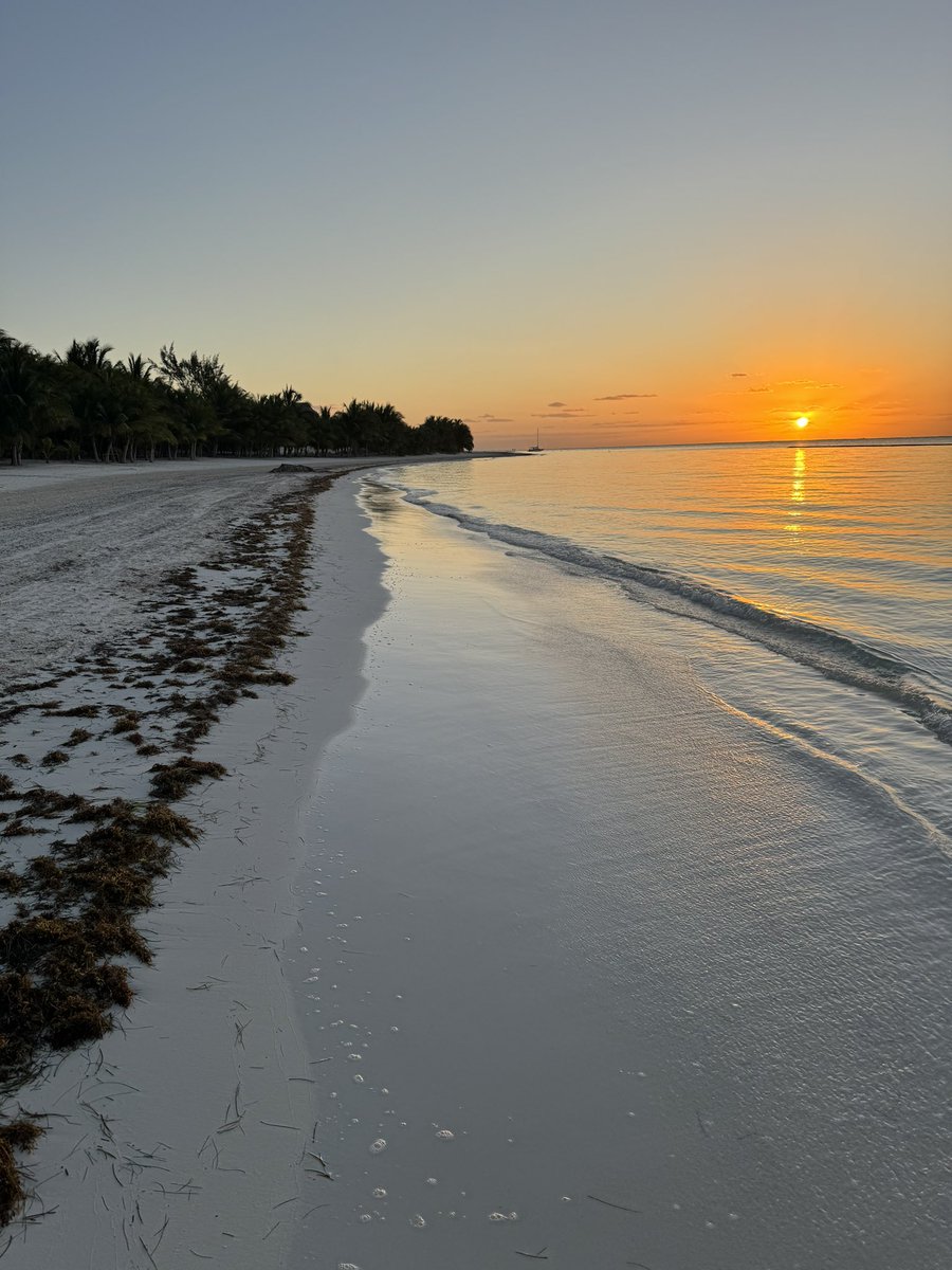 Good Morning Friends. My morning run without shoes was gorgeous. Everyone of you have an awesome Friday. ☀️😎💙