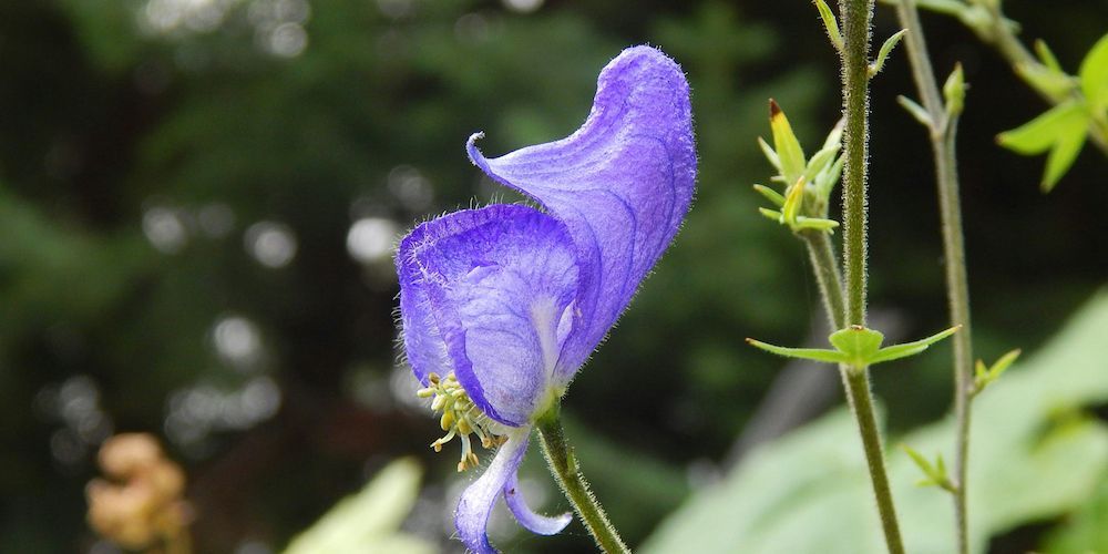 MRCEM Success tweet media