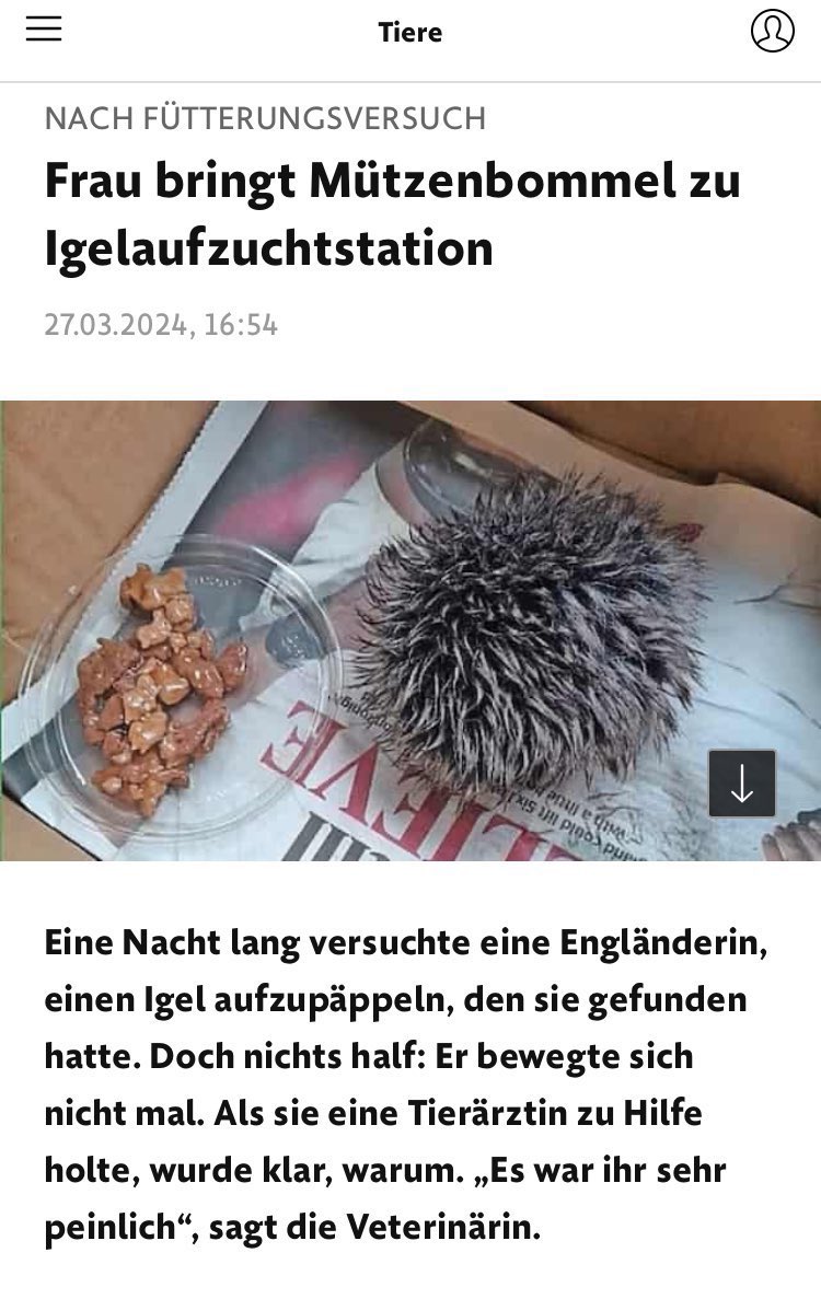 Ich möchte jeden Tag nur solche Nachrichten sehen.. 🦔