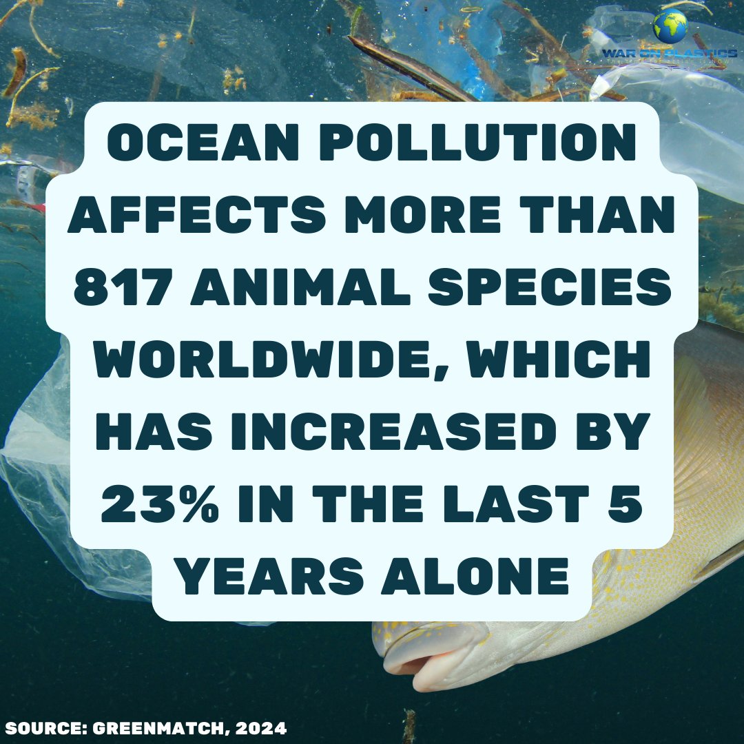 A staggering 23% increase in just the last 5 years. We can't turn a blind eye anymore. It's time to stand up, raise awareness, and take meaningful action to protect our oceans and the incredible creatures that call them home! 🐋 #plasticpollution #plasticfreeliving #plastic