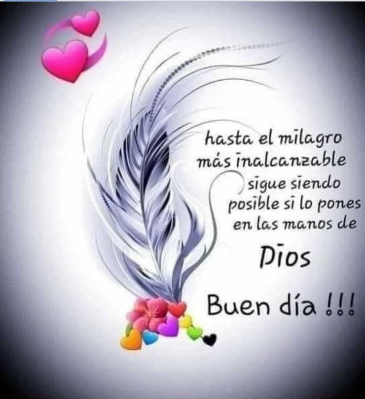 BLANCA ESTELA BERMUDEZ NAVARRETE (@estela_bernav) on Twitter photo 
