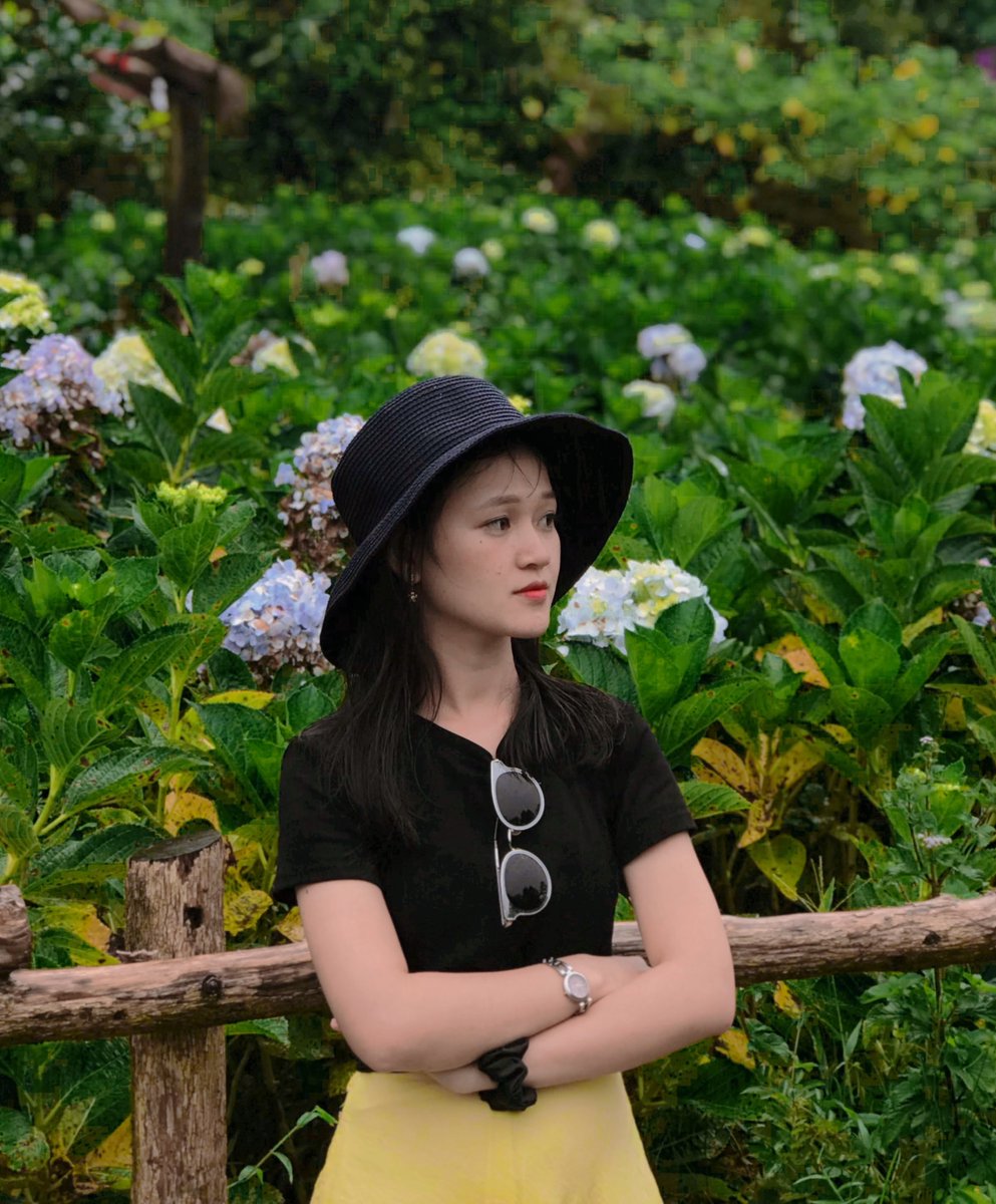 Lánh Kim tweet media