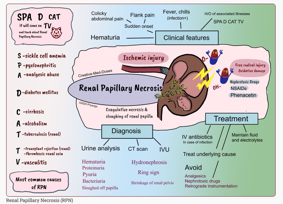 renal papillary necrosis #foamed #medX #MedEd #Nephrology