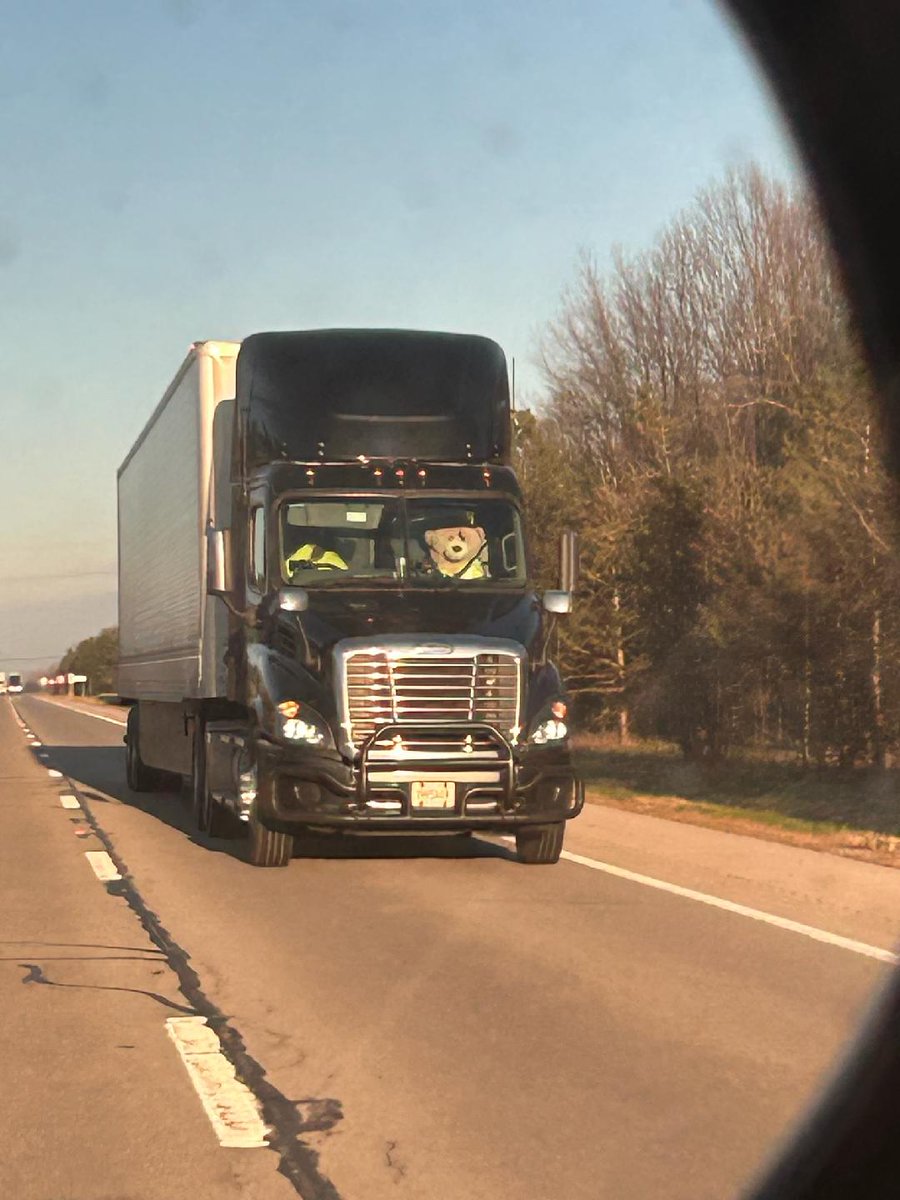 Headed to Columbus for the only day my kids' spring break overlaps, and spotted these super cool team drivers from West TN Expediting 😎🐻 #SafetyFirst #ClickItOrTicket 🐻