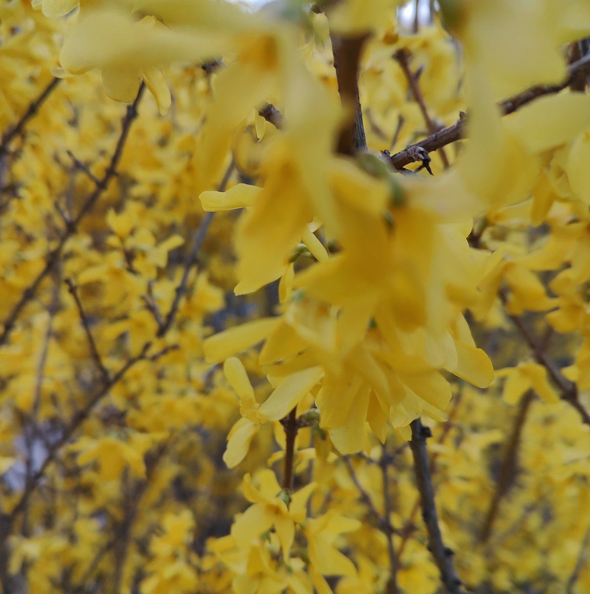 Have a peaceful Easter & good time spent with your beloved. Życzę spokojnych Świąt Wielkanocnych w gronie najbliższych.