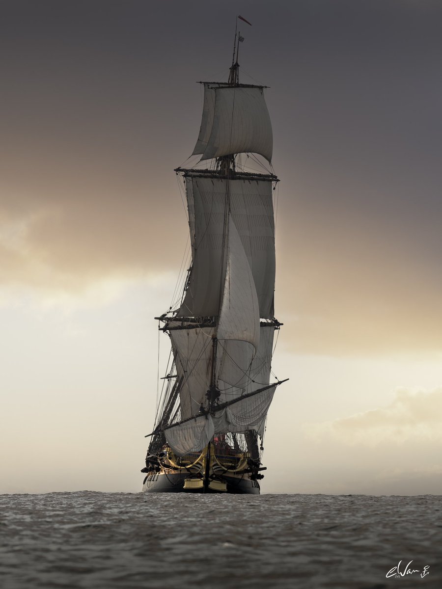 Élégance rare, émotions maritimes intactes… Frégate #Hermione ⚓️ 🇫🇷 Hâte de la revoir en mer 😌 Soutenez sa restauration ! 👇🏻 don.fregate-hermione.com @LHERMIONE_SHIP @MarineNationale @navalgroup @PeintresM