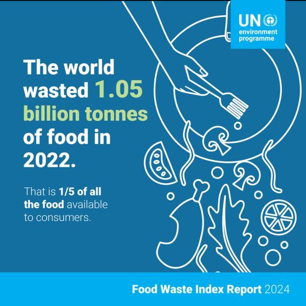 In 2022, the world wasted 1.05 billion tonnes of food. This amounts to one fifth (19%) of food available to consumers being wasted, at the retail, food service, and household level. ➡️ buff.ly/3vtJ1Pu